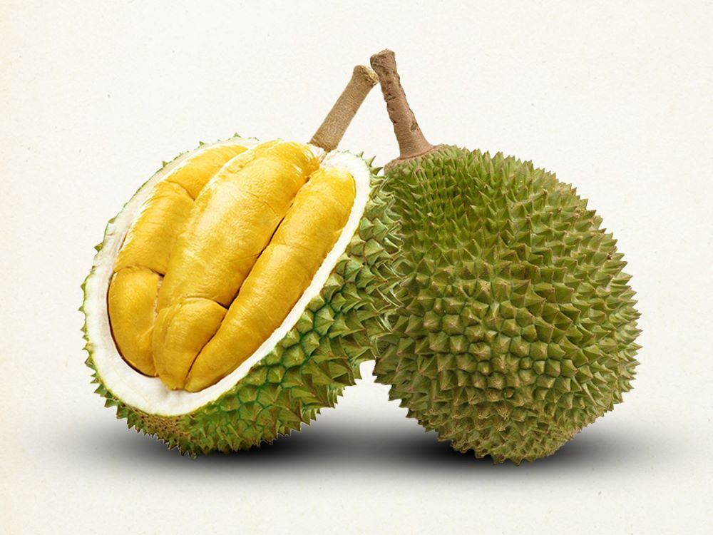 Musang King